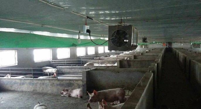 1617931866230168.jpg 養(yǎng)豬場(chǎng)臭氧機(jī).jpg